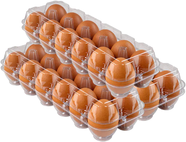 Três bandejas transparentes com 36 ovos marrons selecionados